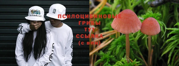 гидропоника Арсеньев