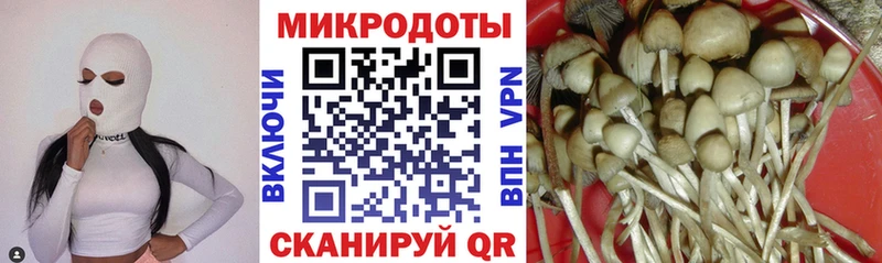 Псилоцибиновые грибы Magic Shrooms Советск